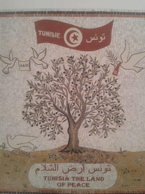 Tunisia, land of ancient olive groves